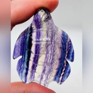 Rainbow Fluorite Crystal Turtle